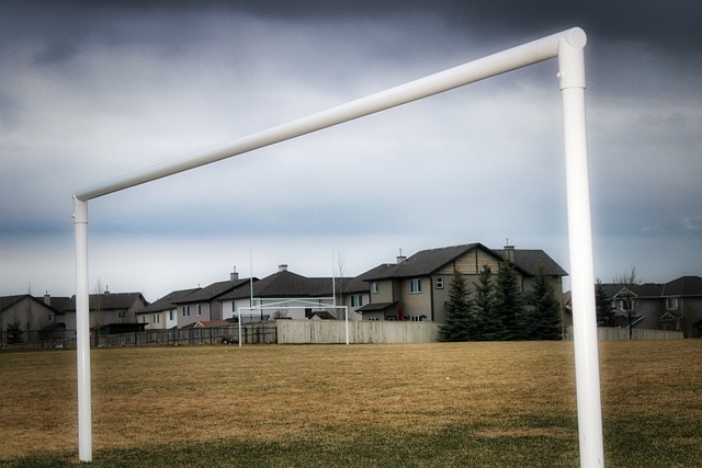 越来越多的 越来越多的