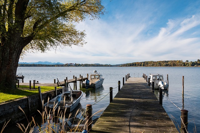 明赔率榜确 明赔率榜确