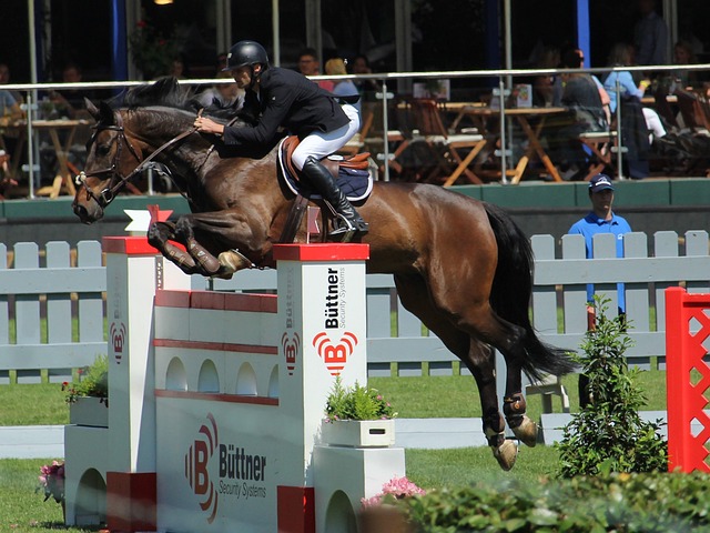 事无疑为北 事无疑为北