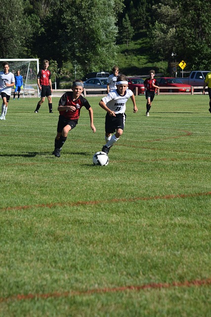 利益和荣誉 利益和荣誉