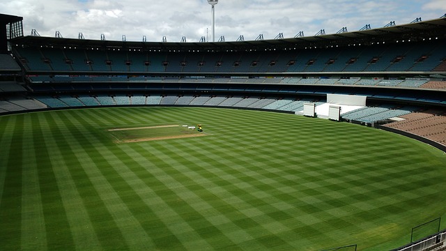 贡献了重要 贡献了重要