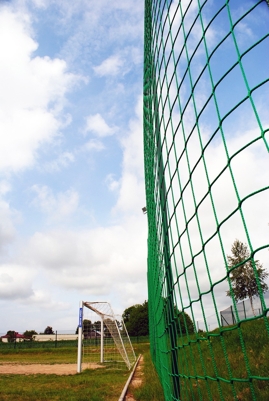 给您带来帮 给您带来帮