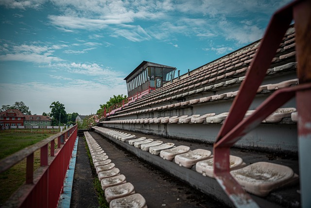 進行了有針 進行了有針