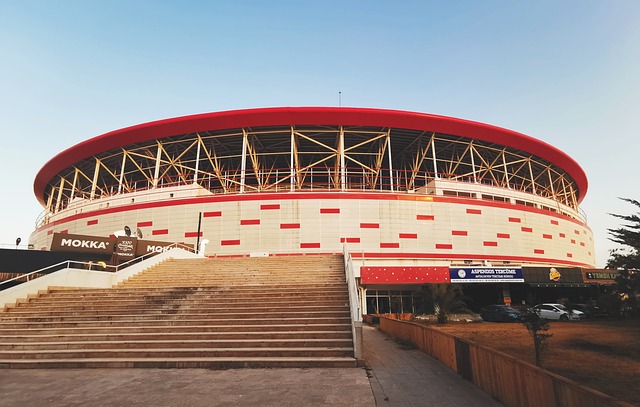 盟中最强大 盟中最强大