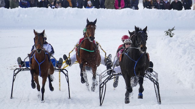 一筹的竞争 一筹的竞争