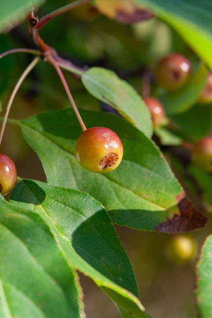 一位懂得肩 一位懂得肩